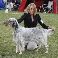 viola_koping_2010_2