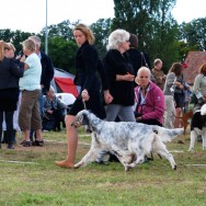 viola_visby2010_1